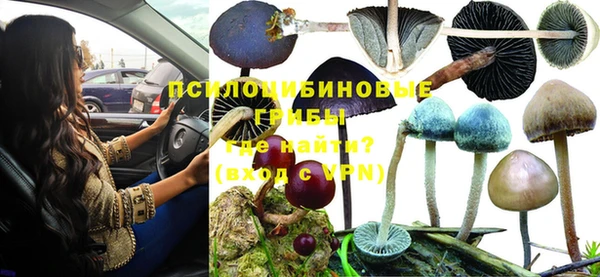 гашишное масло Касимов